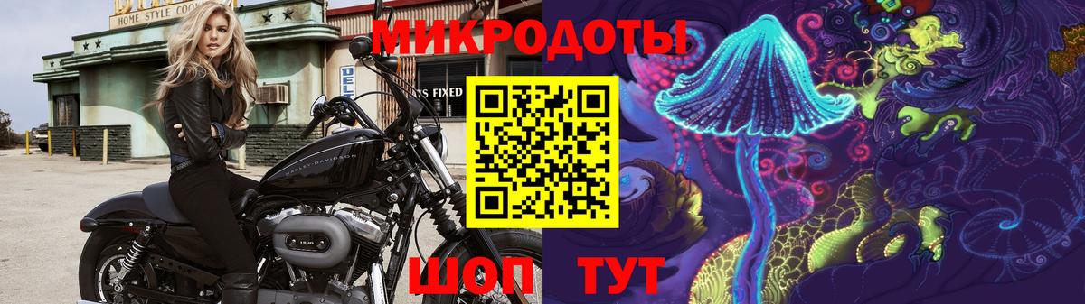 Майский  Галлюциногенные грибы Cubensis  Вход с VPN 